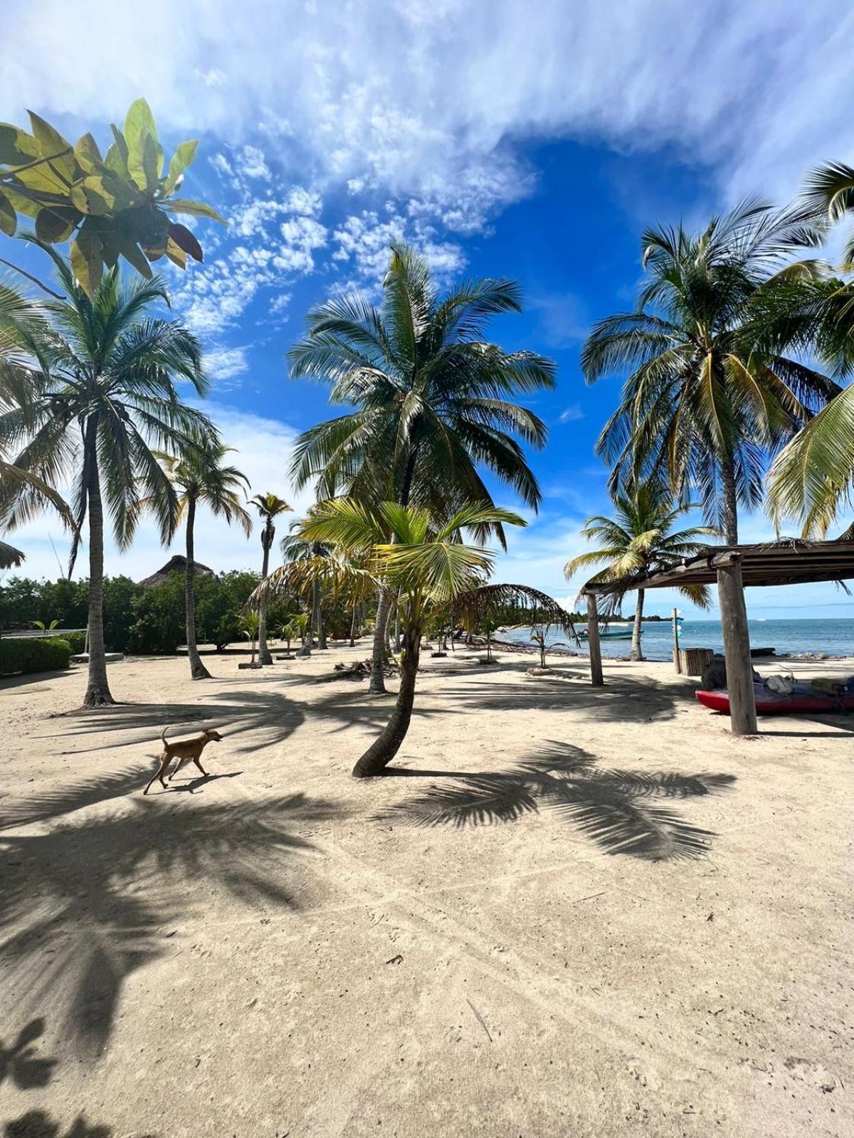 Hostel Beach House Rincon Екстер'єр фото